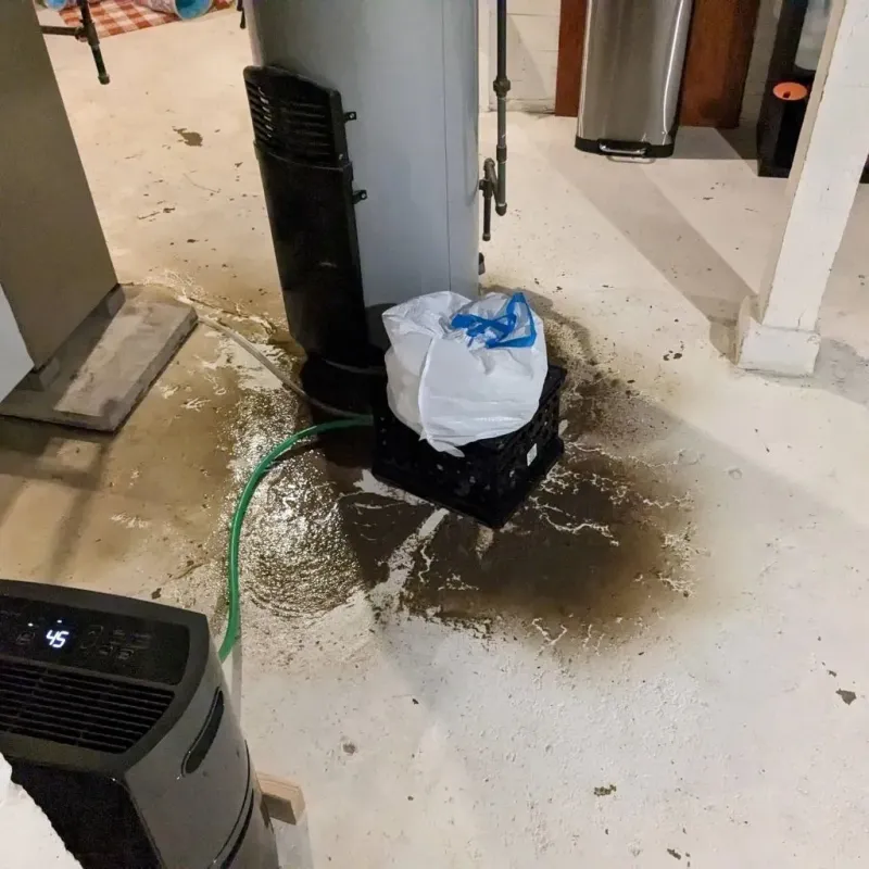 Sewage Backup Cleanup Service in Carlisle, PA
